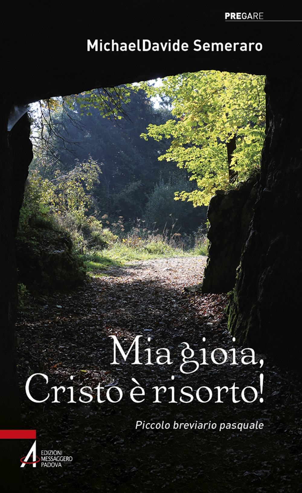 Mia gioia, Cristo è risorto! Meditazioni quotidiane da Pasqua a Pentecoste. Ediz. plastificata