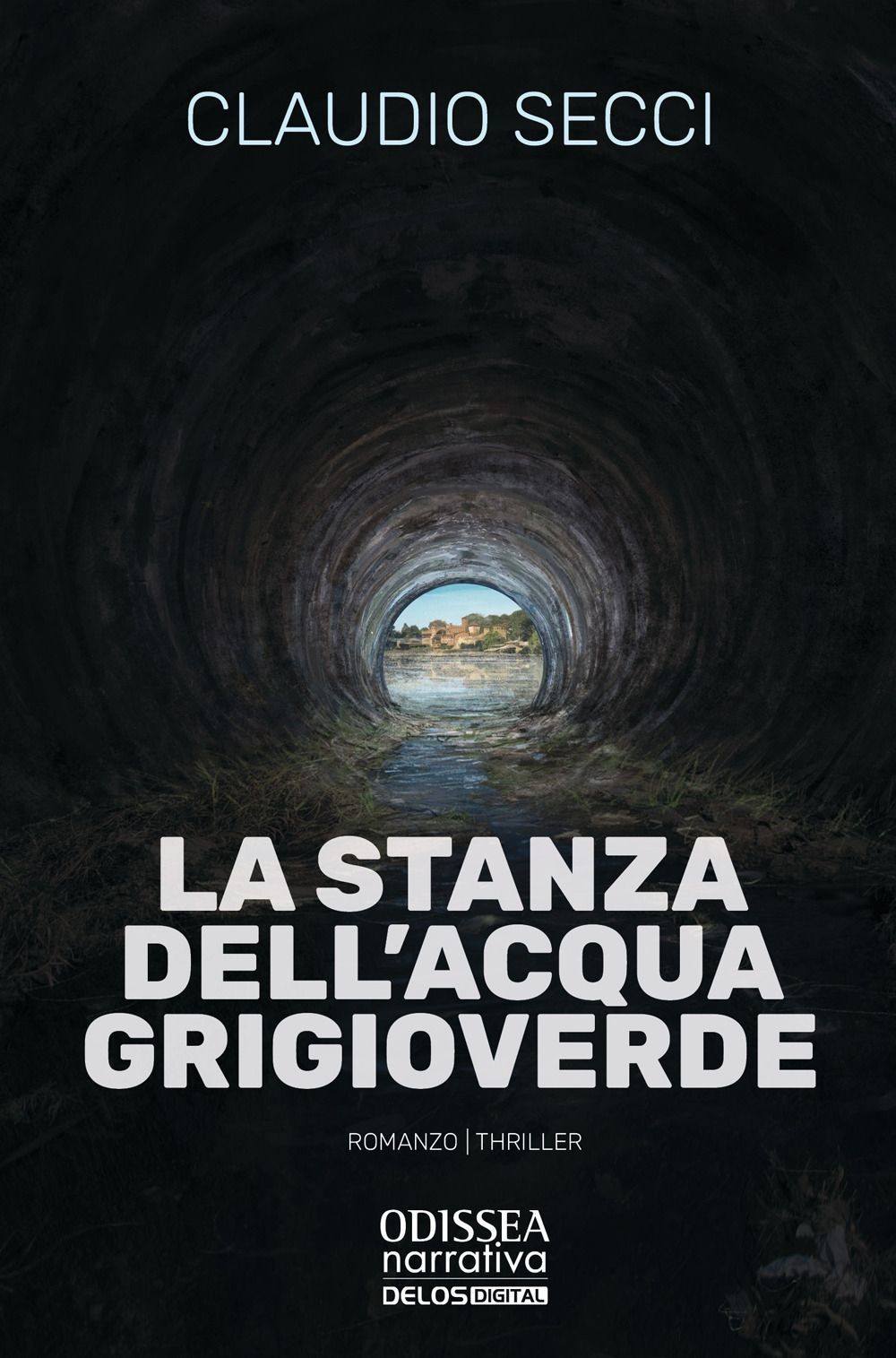 La stanza dell'acqua grigioverde