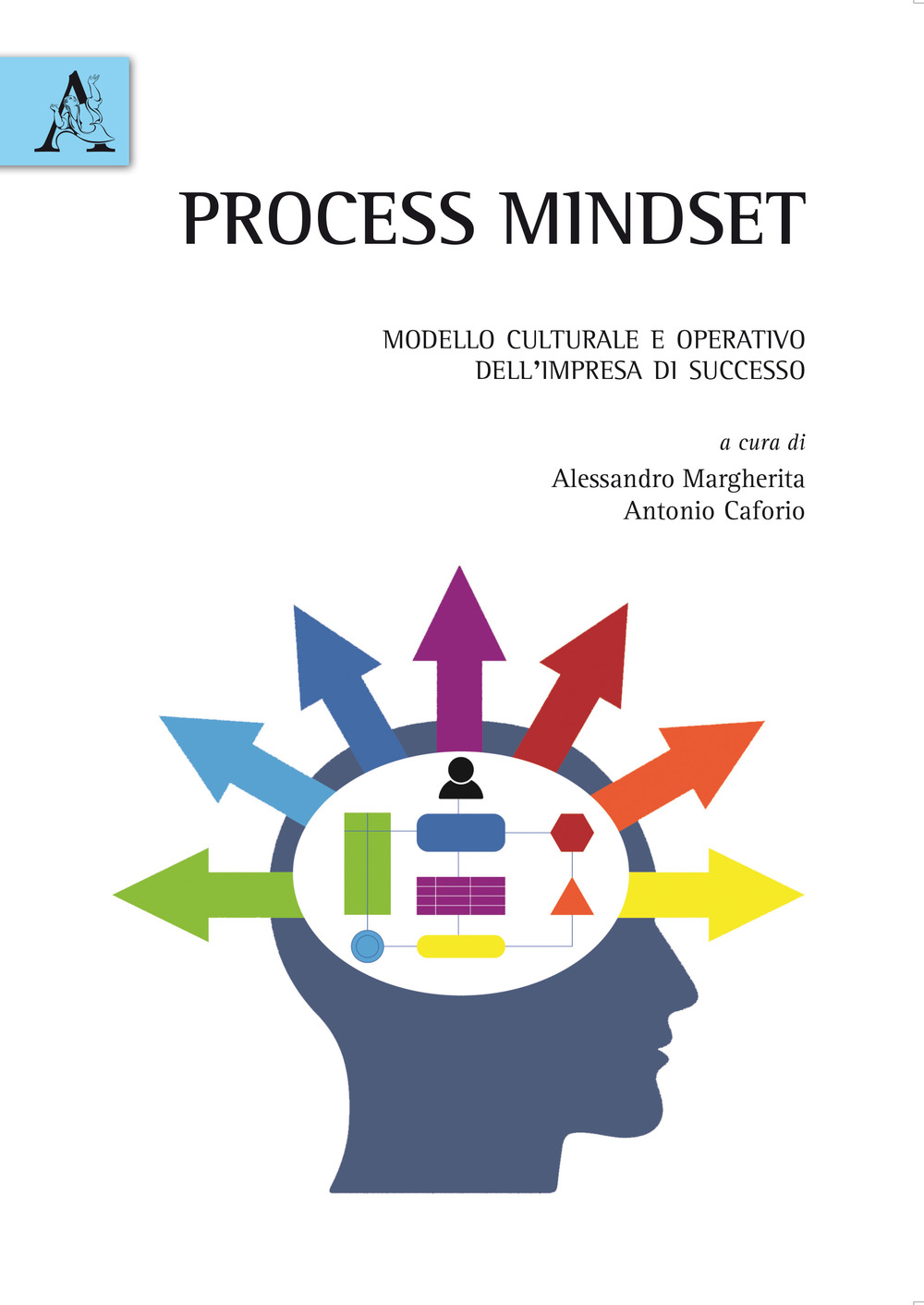 Process mindset. Modello culturale e operativo dell'impresa di successo