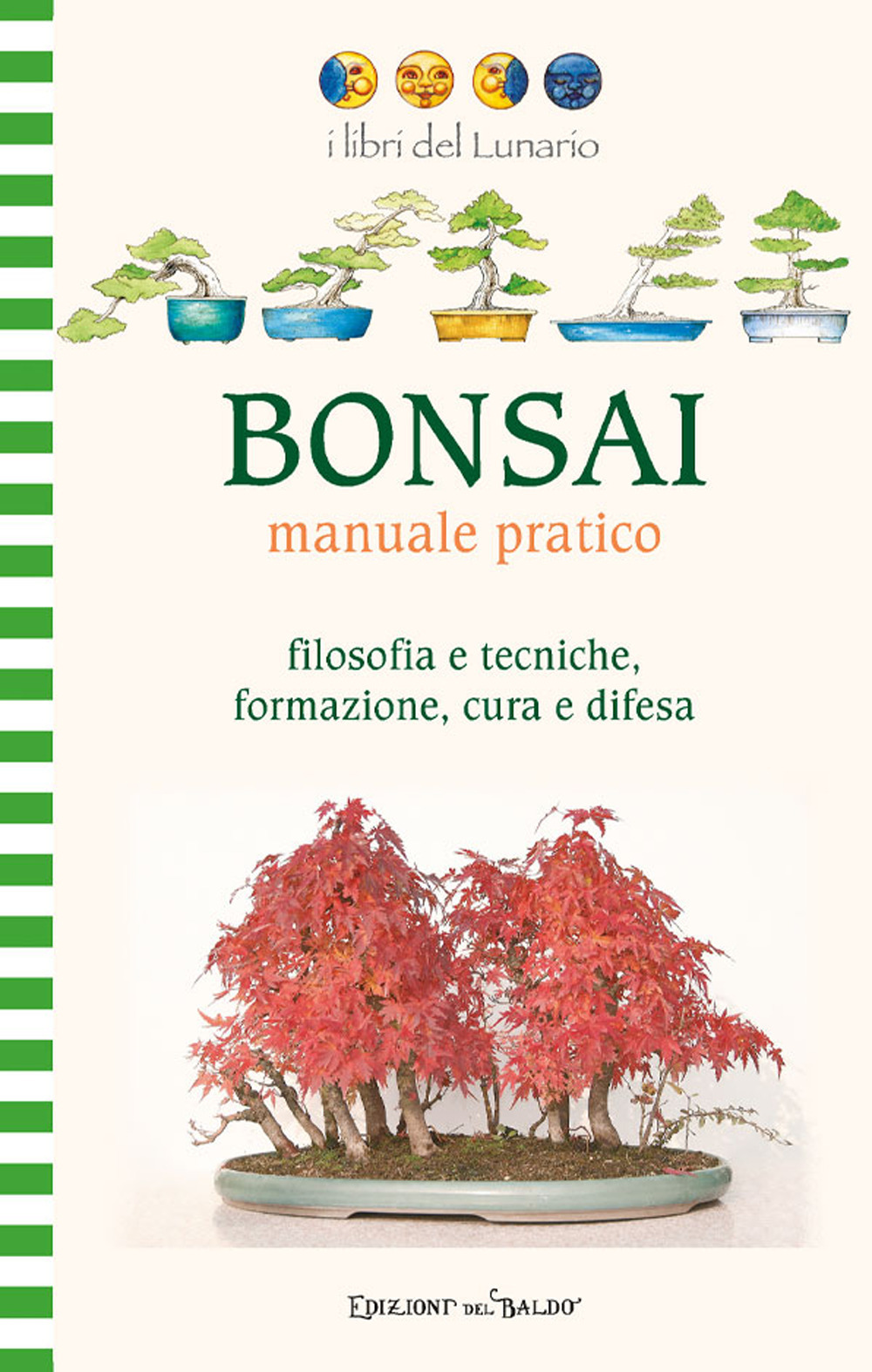 Bonsai manuale pratico. Ediz. illustrata