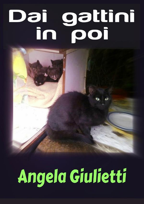 Dai gattini in poi