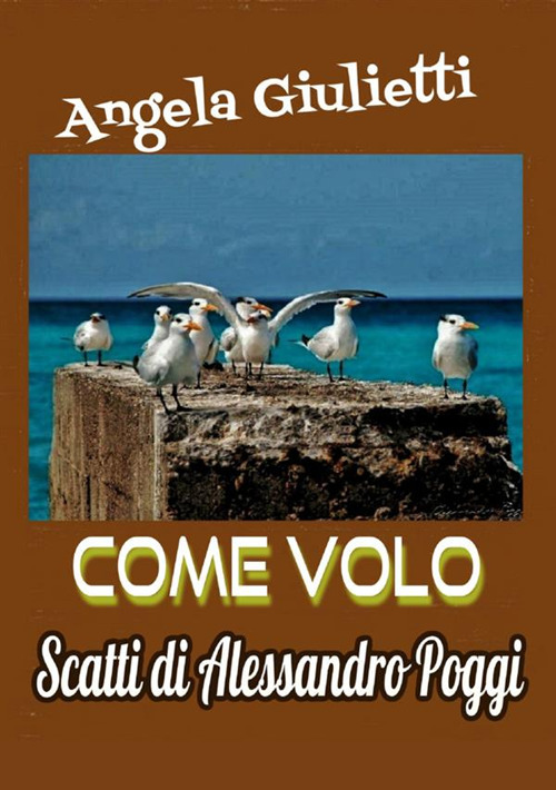 Come volo