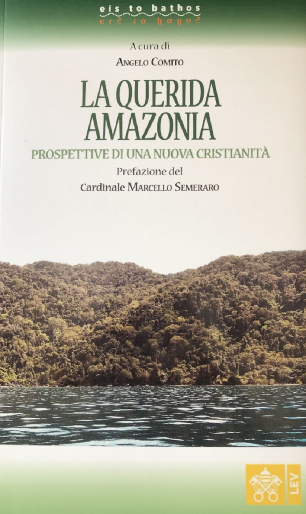 La Querida Amazonia. Prospettive di una nuova Cristianità