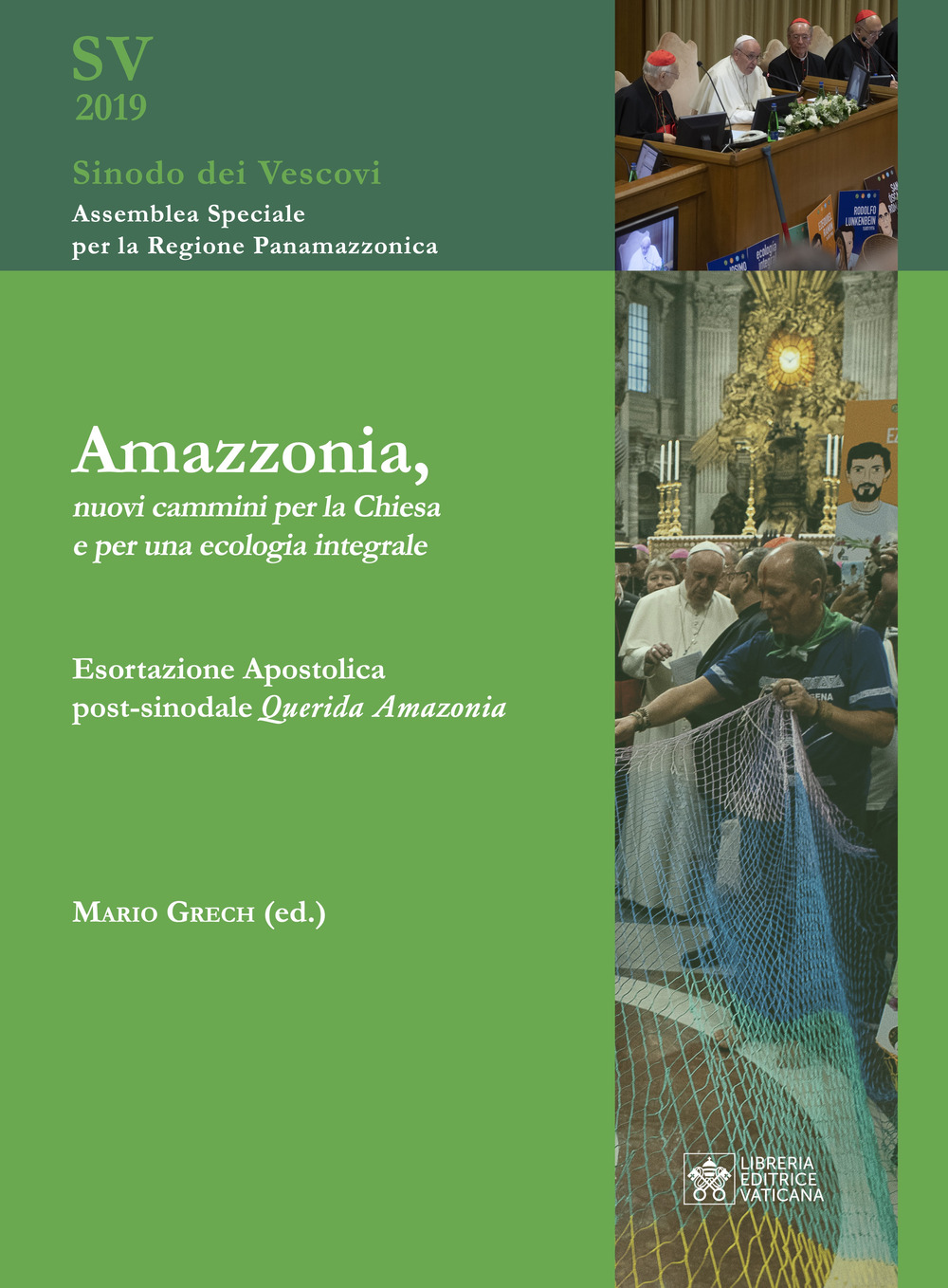 Amazzonia, nuovi cammini per la Chiesa e per una ecologia integrale. Esortazione apostolica post-sinodale Querida Amazonia