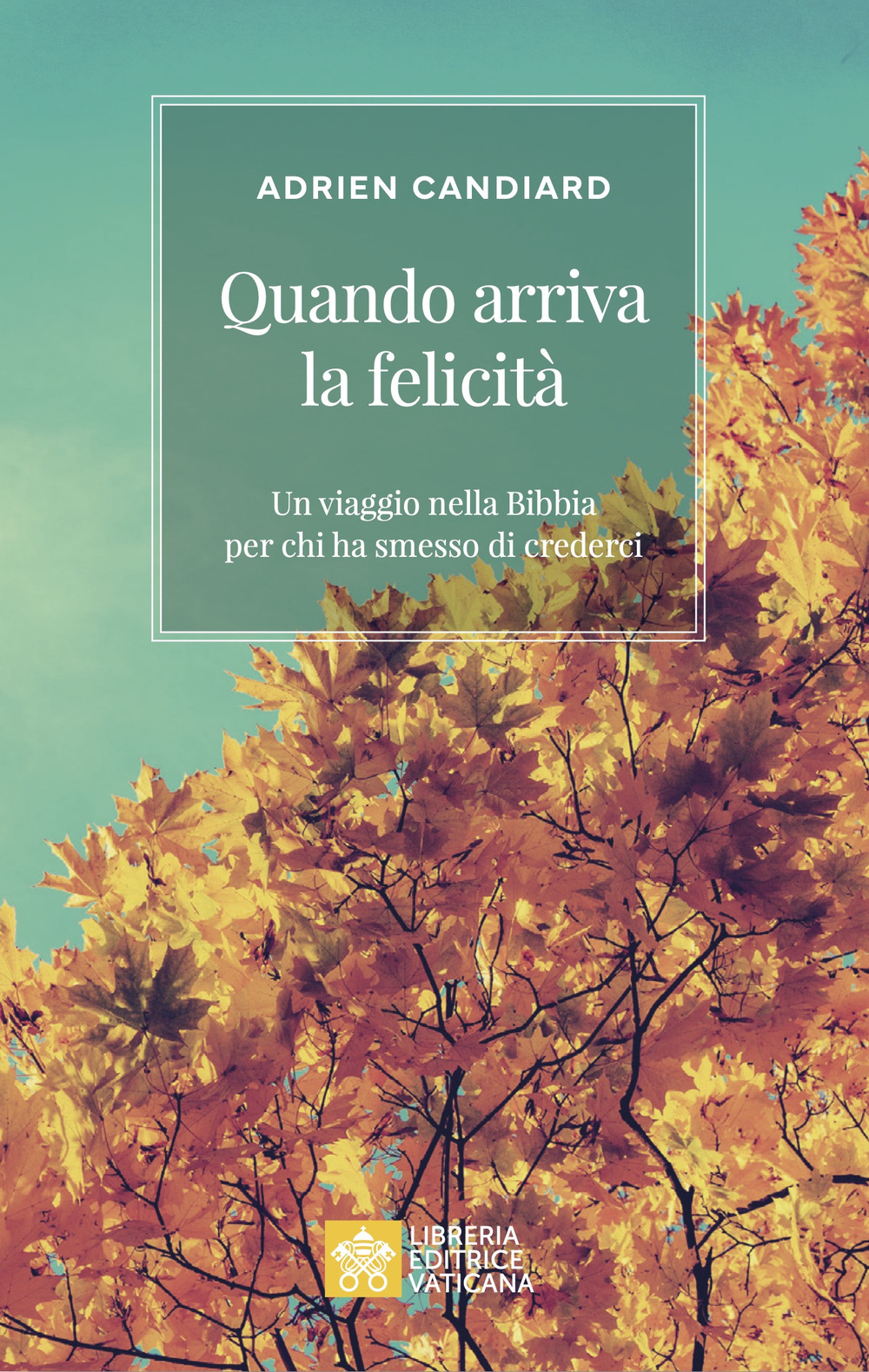 Quando arriva la felicità. Un viaggio nella Bibbia per chi ha messo di crederci