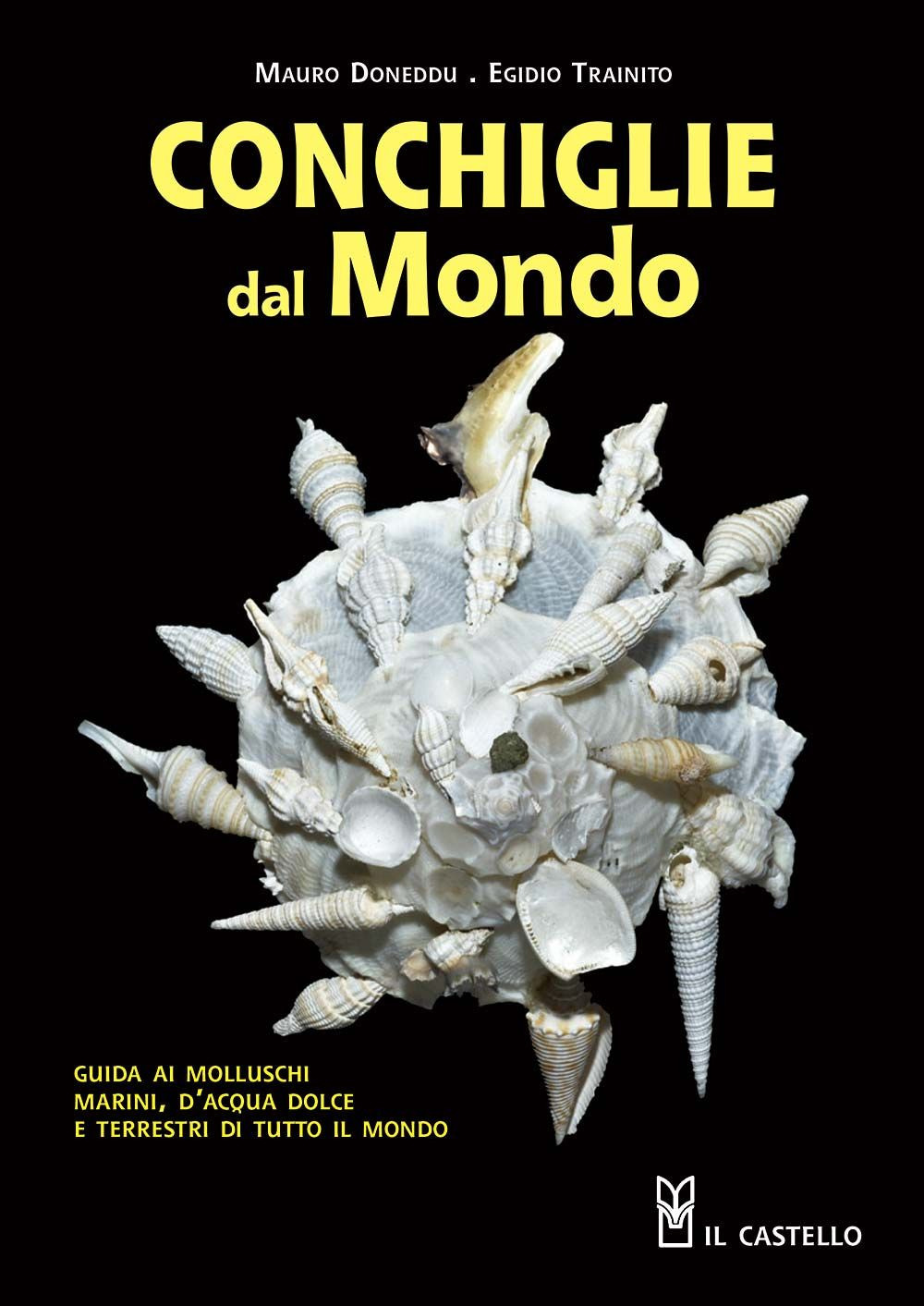 Conchiglie dal mondo. Guida ai molluschi marini, d'acqua dolce e terrestri di tutto il mondo. Ediz. a colori