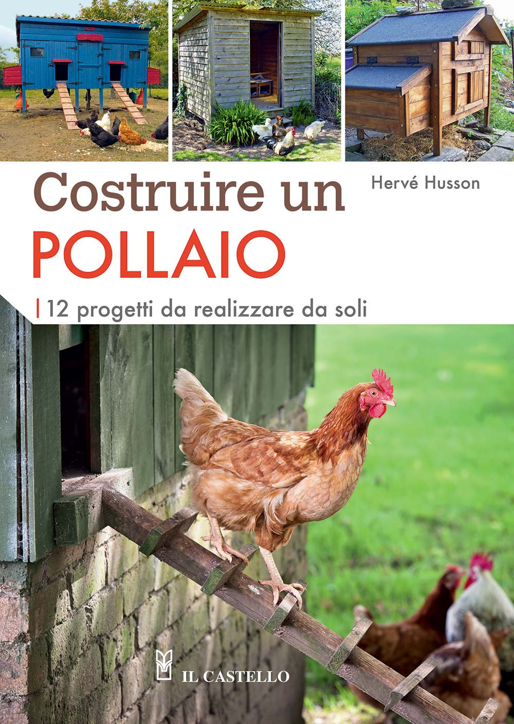 Costruire un pollaio. 12 progetti da realizzare da soli. Ediz. a colori