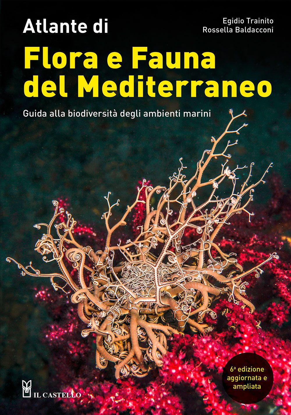 Atlante di flora e fauna del Mediterraneo. Guida alla biodiversità degli ambienti marini. Ediz. illustrata