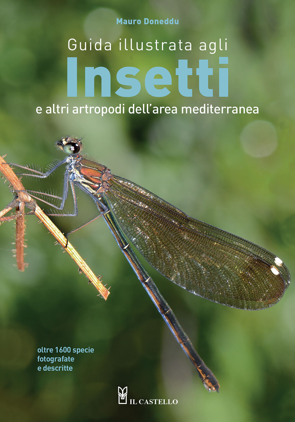 Guida illustrata agli insetti e altri artropodi dell'area mediterranea. Ediz. a colori