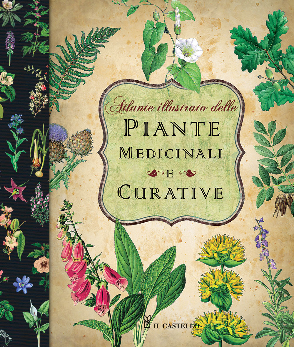Atlante illustrato delle piante medicinali e curative