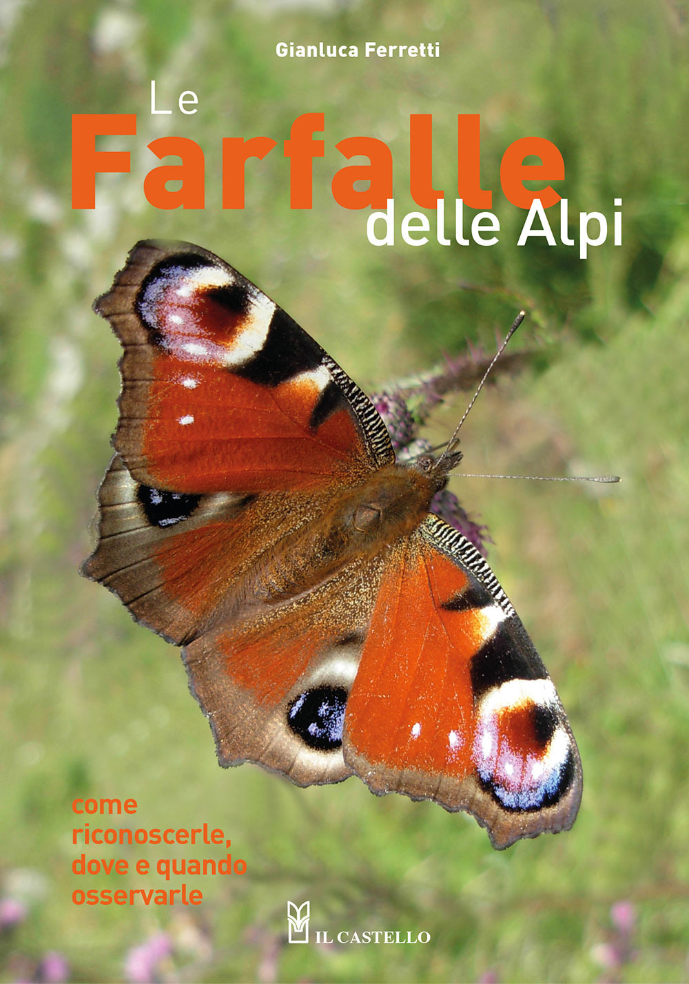 Le farfalle delle Alpi. Come riconoscerle, dove e quando osservarle. Ediz. a colori
