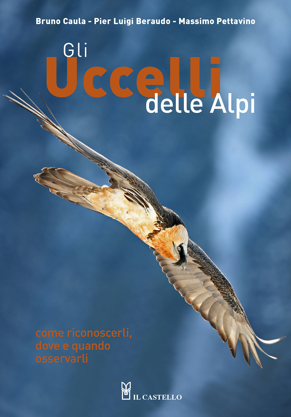 Gli uccelli delle Alpi. Come riconoscerli, dove e quando osservarli. Ediz. a colori