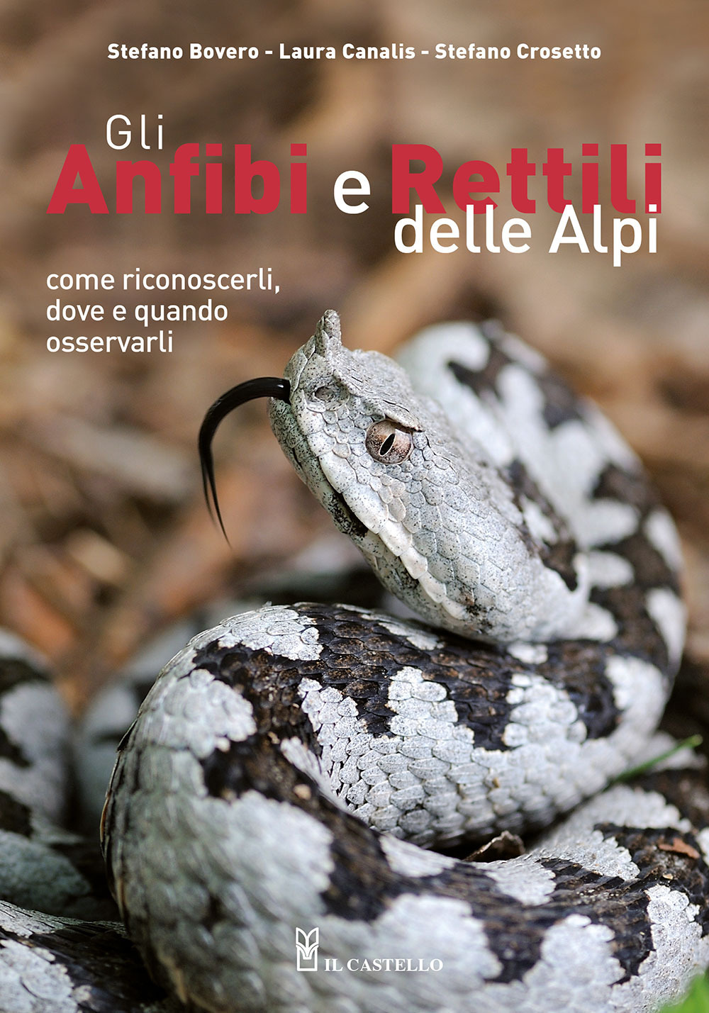 Gli anfibi e rettili delle Alpi. Come riconoscerli, dove e quando osservarli. Ediz. a colori