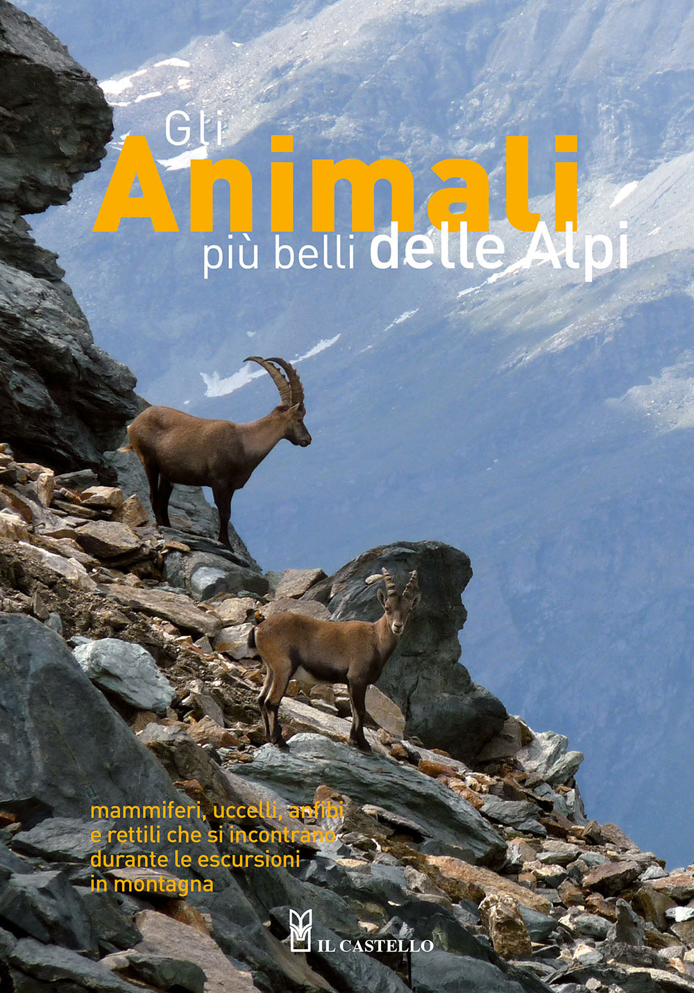 Gli animali più belli delle Alpi. Mammiferi, uccelli, anfibi e rettili che si incontrano durante le escursioni in montagna. Ediz. a colori