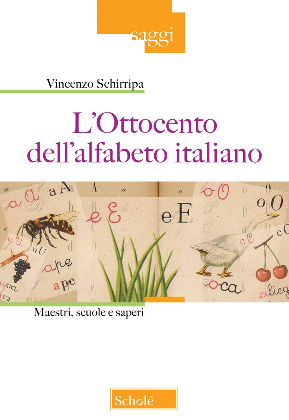 L'Ottocento nell'alfabeto italiano. Maestri, scuole e saperi. Nuova ediz.