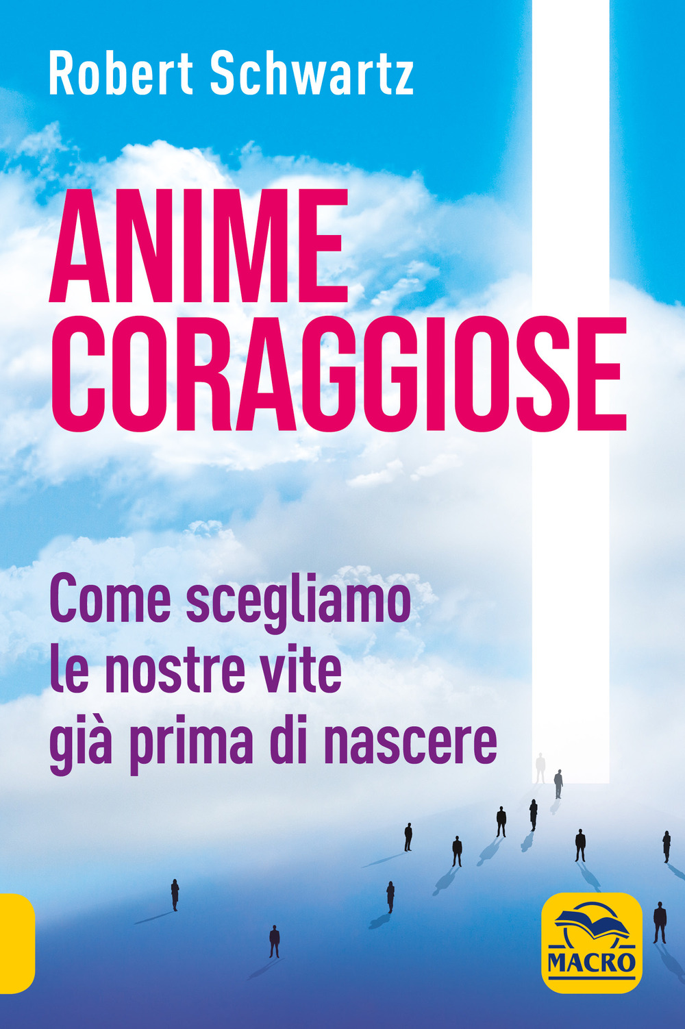 Anime coraggiose. Come scegliamo le nostre vite già prima di nascere