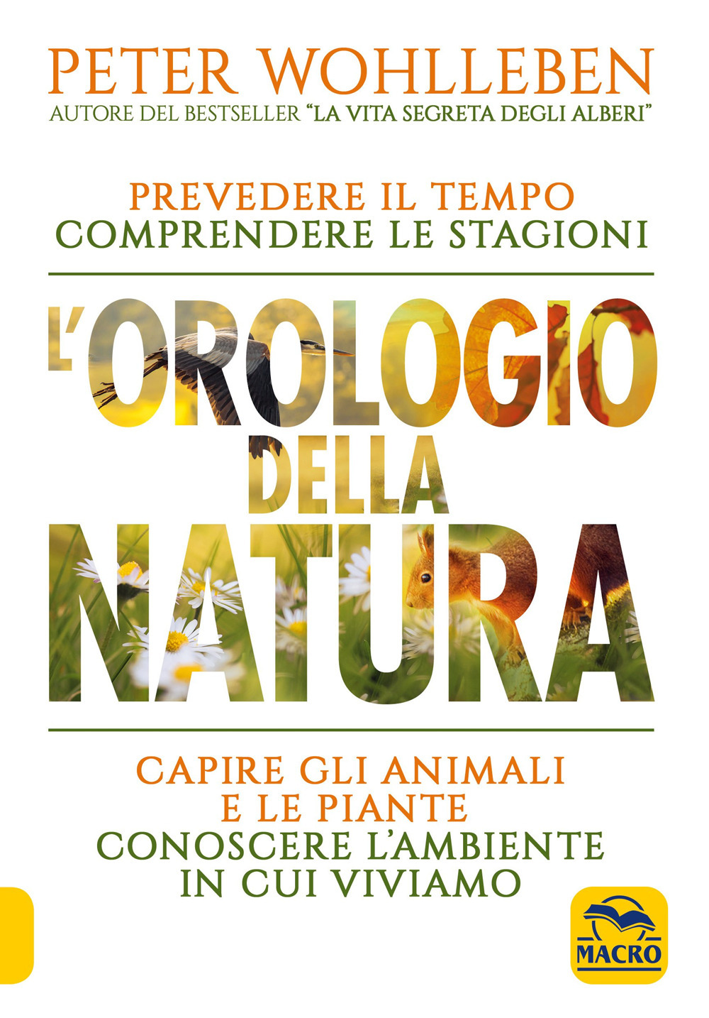 L'orologio della natura. Prevedere il tempo comprendere le stagioni capire gli animali e le piante conoscere l'ambiente in cui viviamo