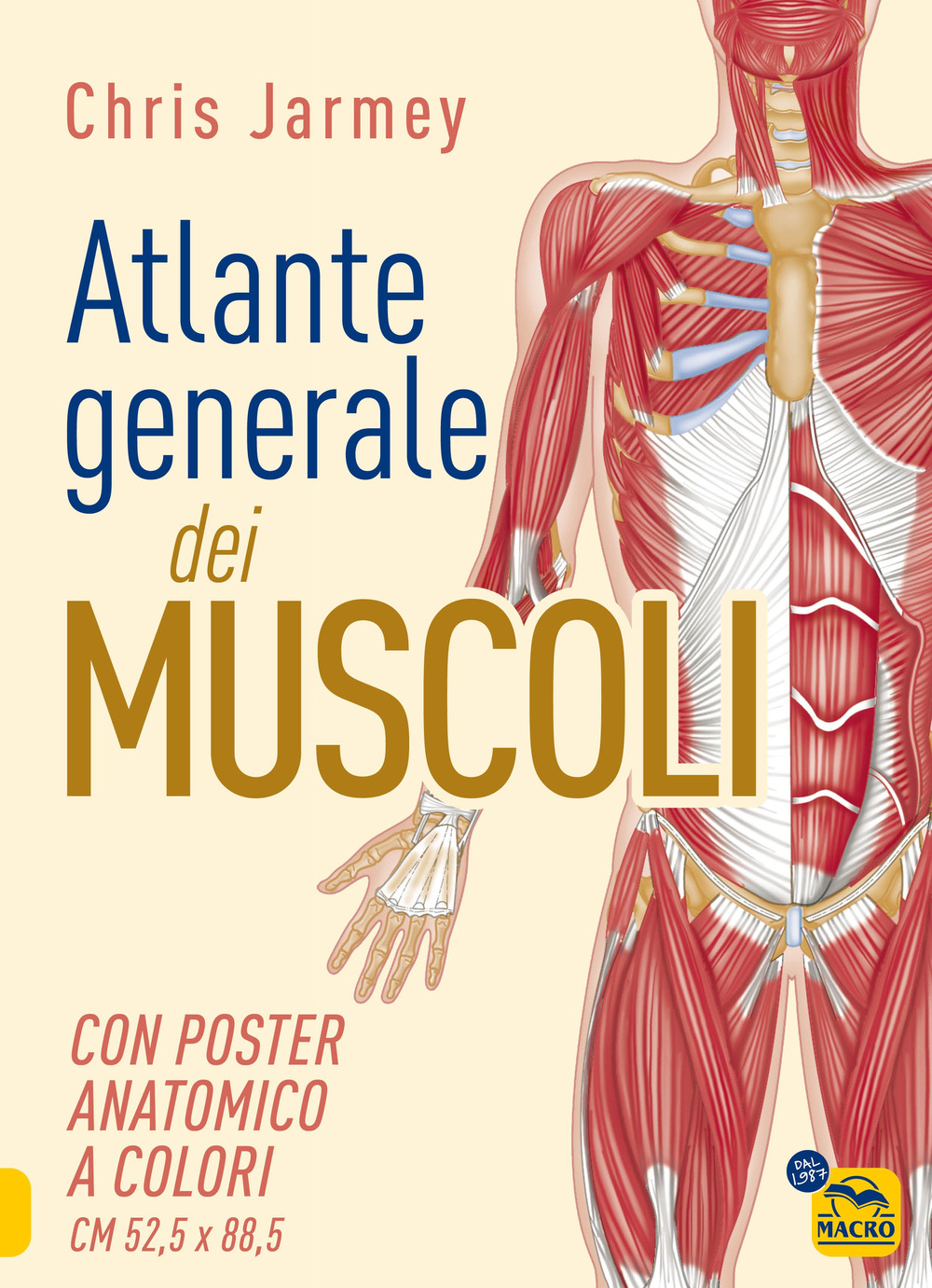 Atlante generale dei muscoli. Con poster anatomico a colori