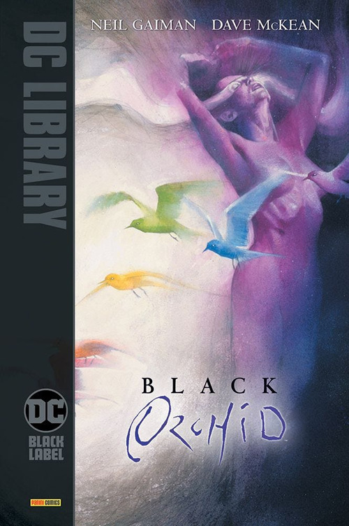 Black orchid