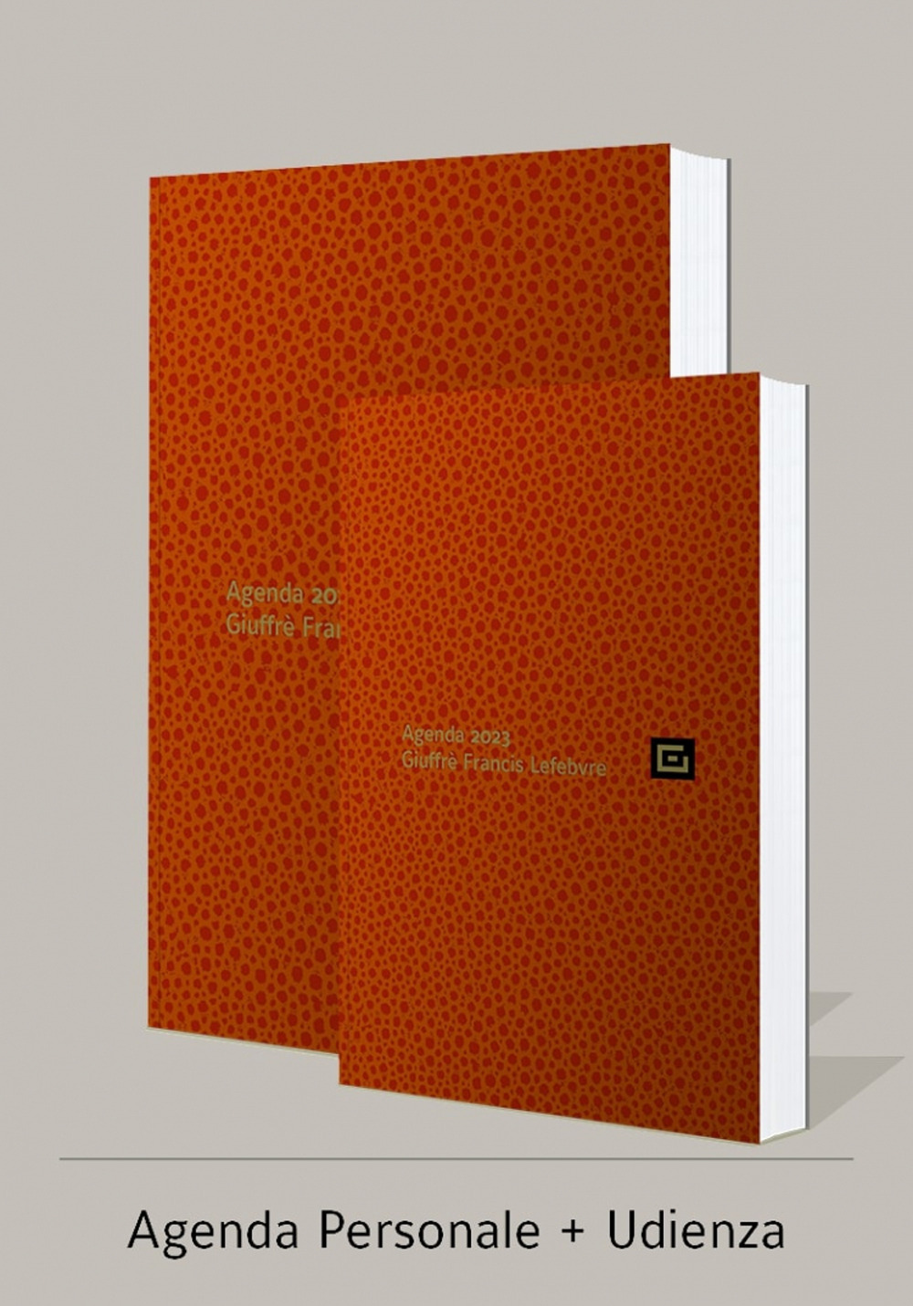 Agenda personale-Agenda d'udienza 2023. Ediz. arancione - Libro - Giuffrè