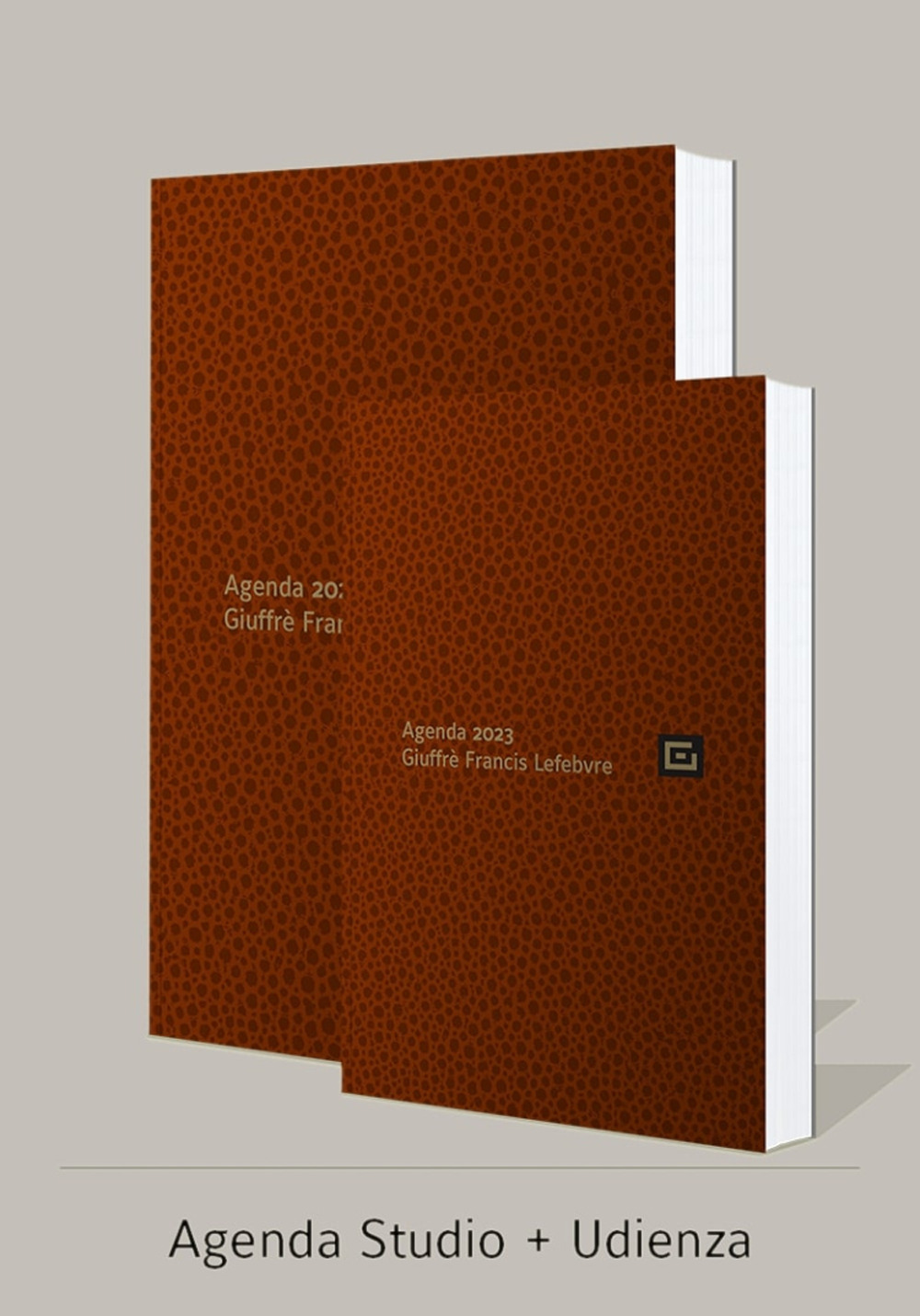 Agenda studio-Agenda d'udienza 2023. Ediz. marrone - Libro - Giuffrè