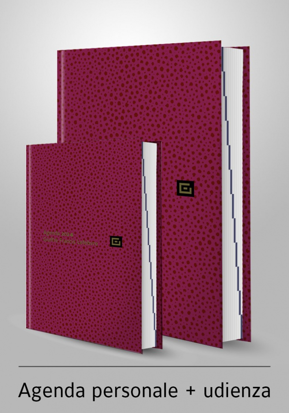 Agenda personale-Agenda d'udienza 2024. Ediz. rossa - Libro - Giuffrè