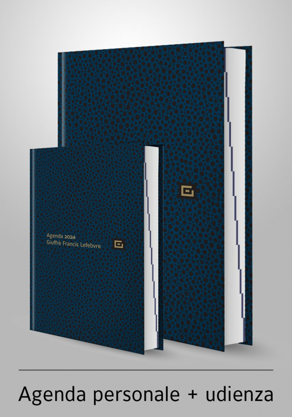 Agenda personale-Agenda d'udienza 2024. Ediz. blu - Libro - Giuffrè