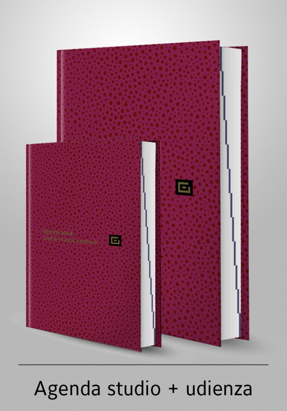 Agenda studio-Agenda d'udienza 2024. Ediz. rossa - Libro - Giuffrè