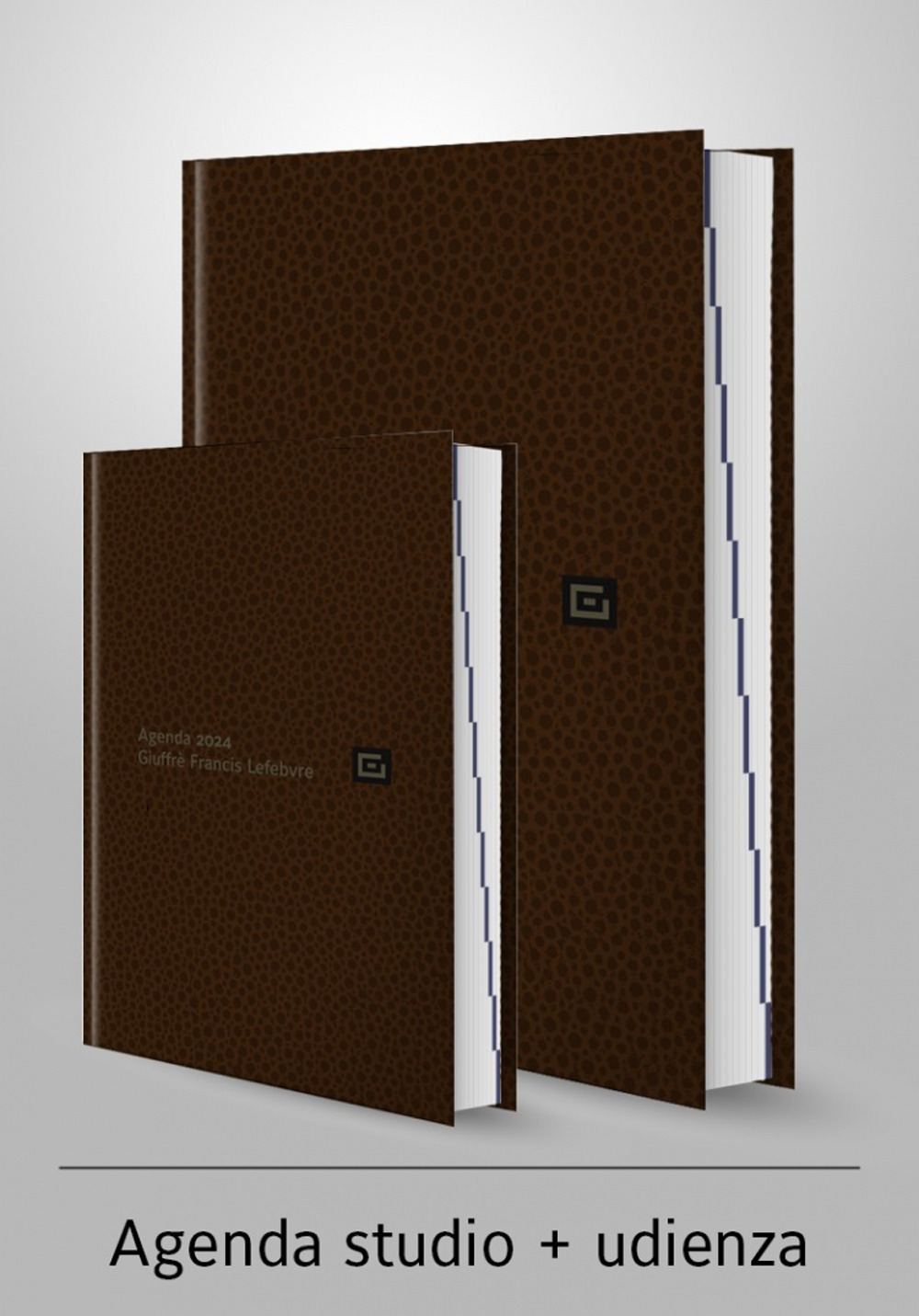 Agenda studio-Agenda d'udienza 2024. Ediz. marrone - Libro - Giuffrè