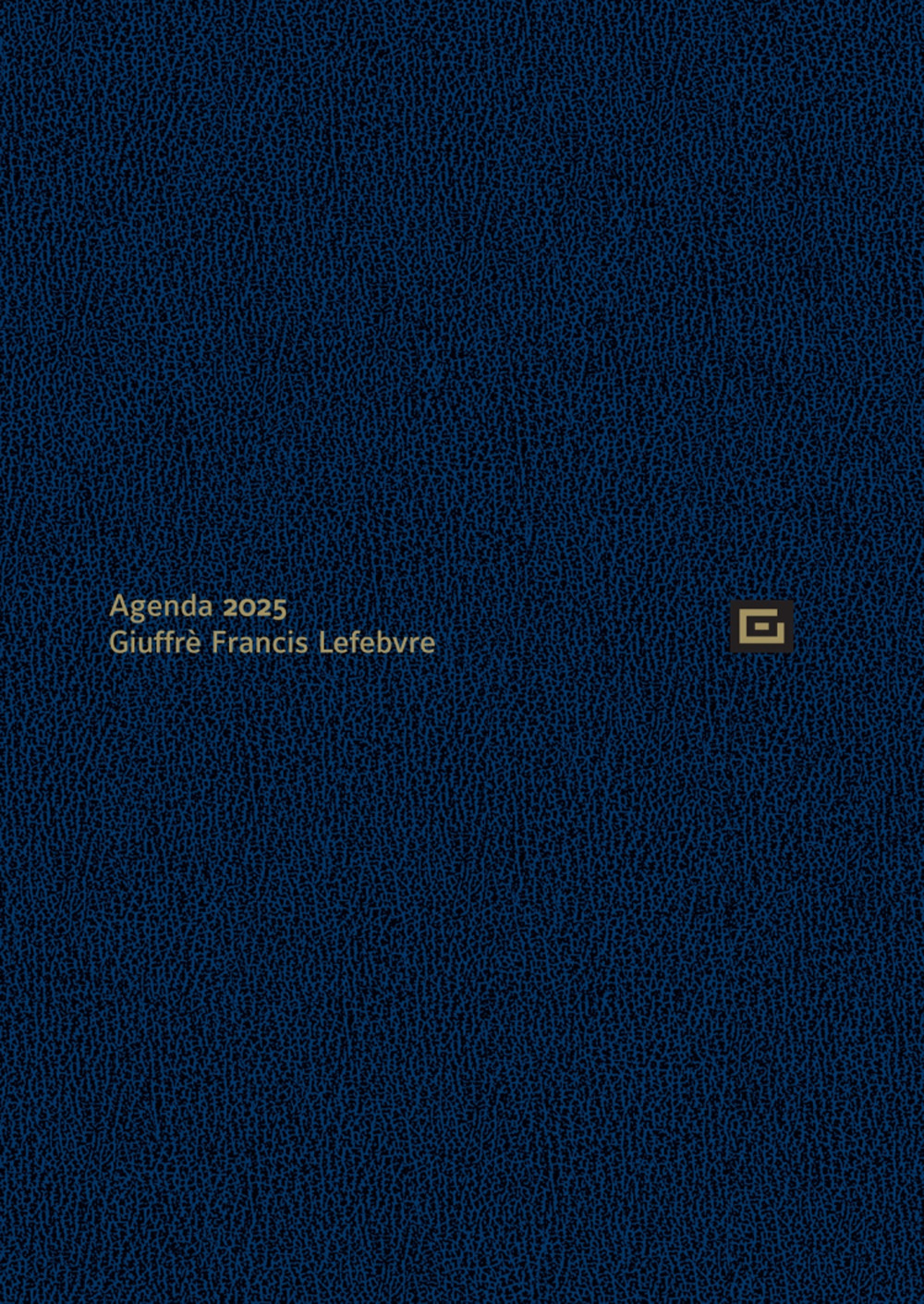 Agenda personale 2025. Ediz. blu - Libro - Giuffrè