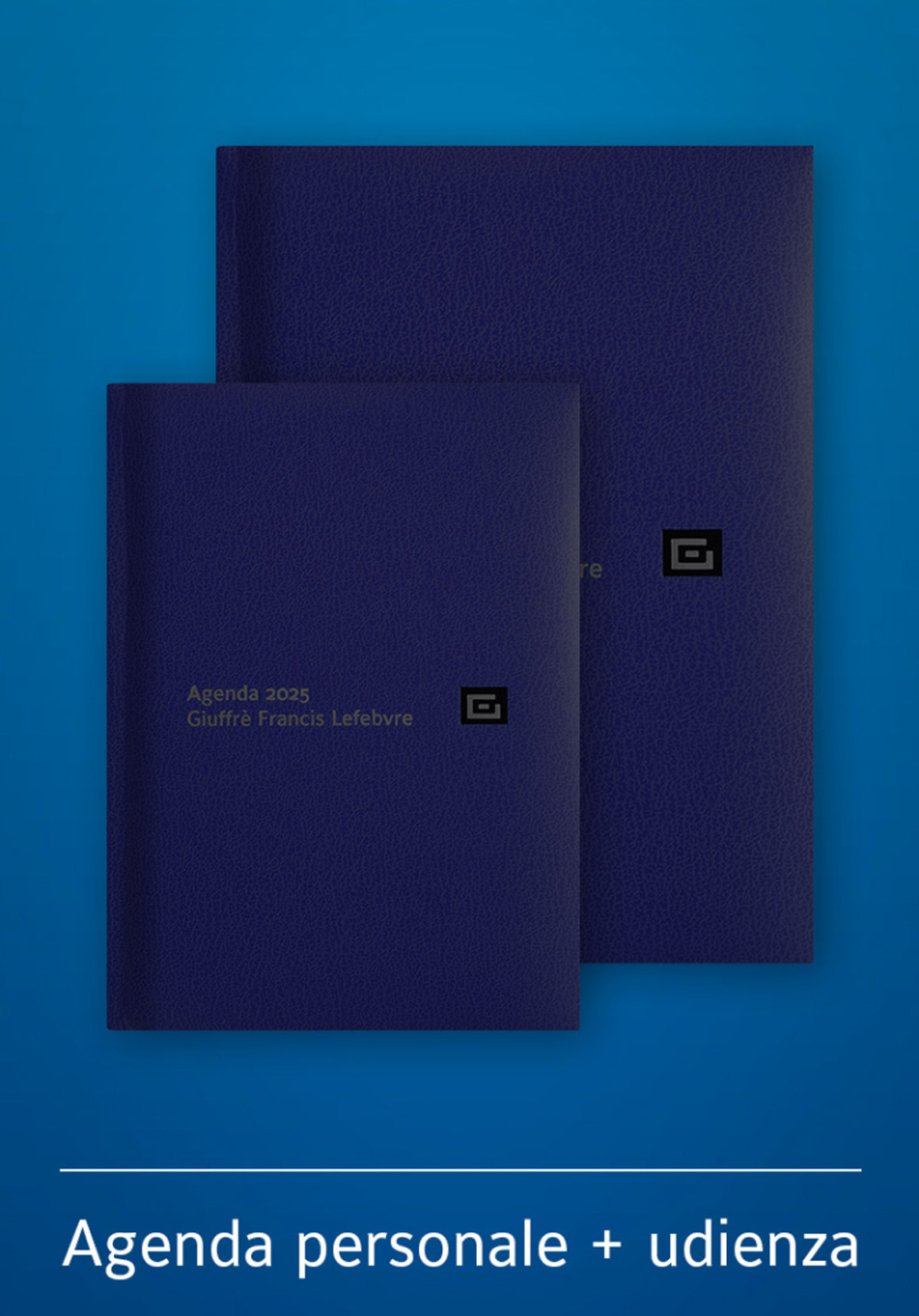 Agenda personale-Agenda d'udienza 2025. Ediz. blu - Libro - Giuffrè