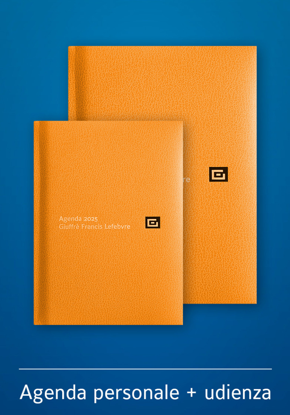 Agenda personale-Agenda d'udienza 2025. Ediz. arancione - Libro - Giuffrè