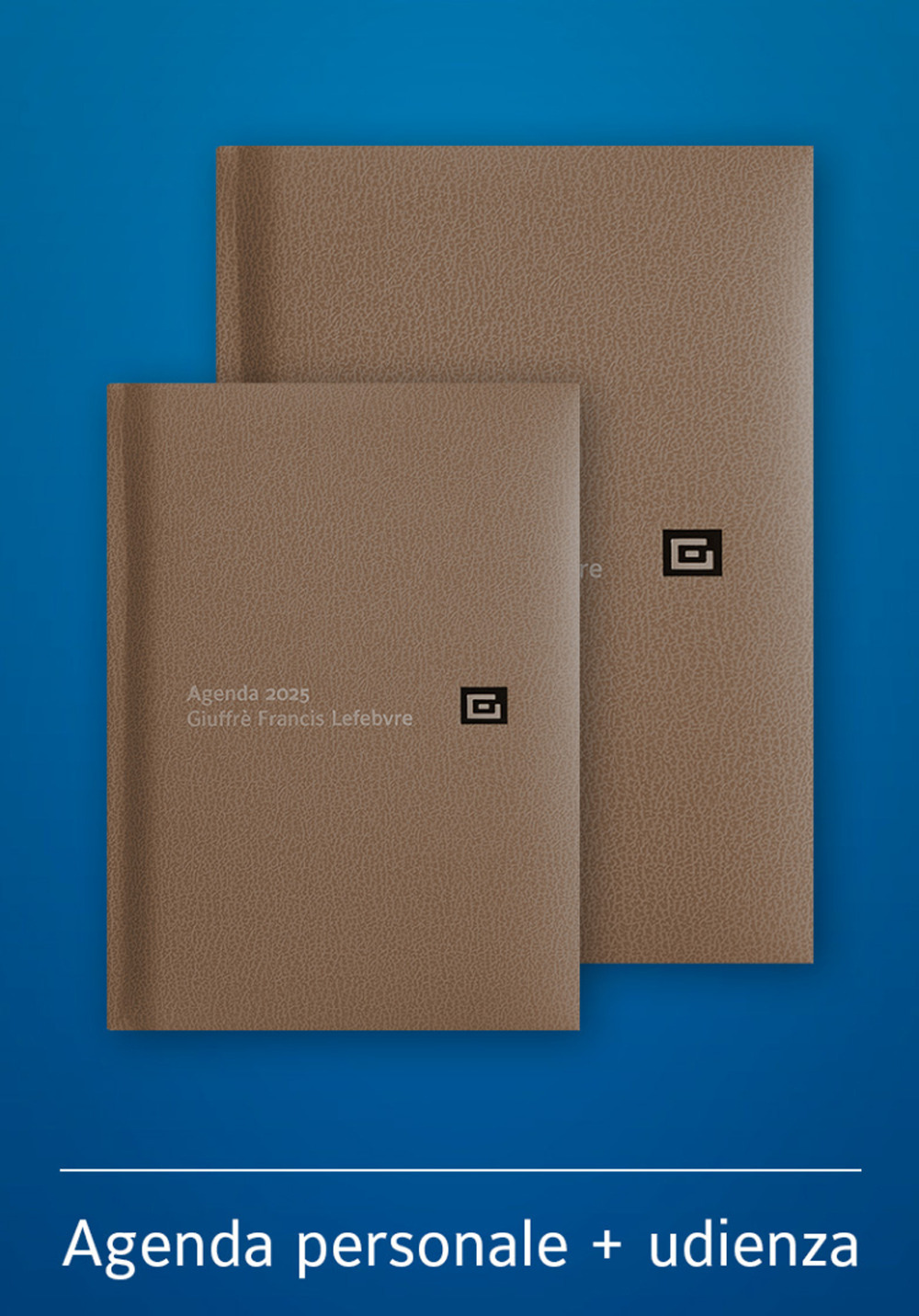 Agenda personale-Agenda d'udienza 2025. Ediz. marrone - Libro - Giuffrè