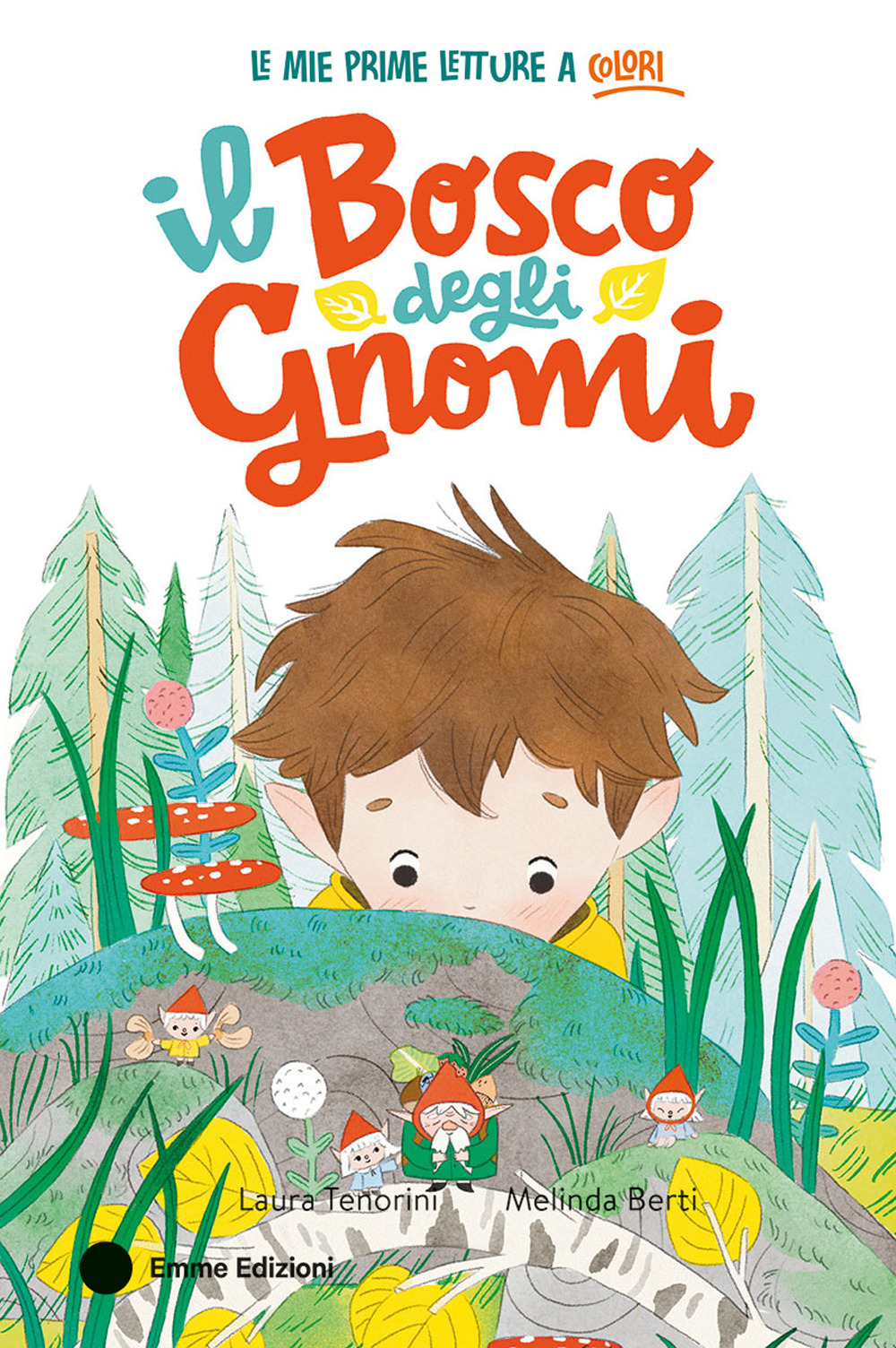 Il bosco degli gnomi. Ediz. a colori