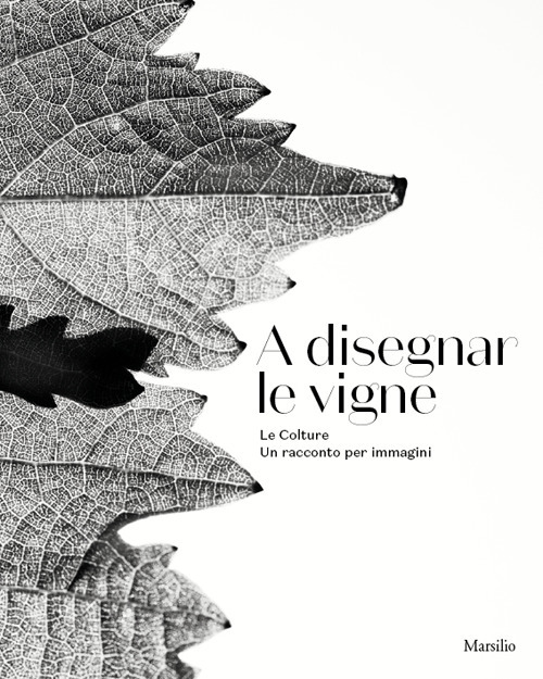 A disegnar le vigne. Le Colture. Un racconto per immagini. Ediz. italiana e inglese