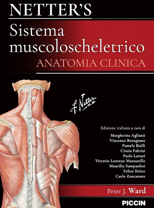 Netter's. Sistema muscoloscheletrico. Anatomia clinica
