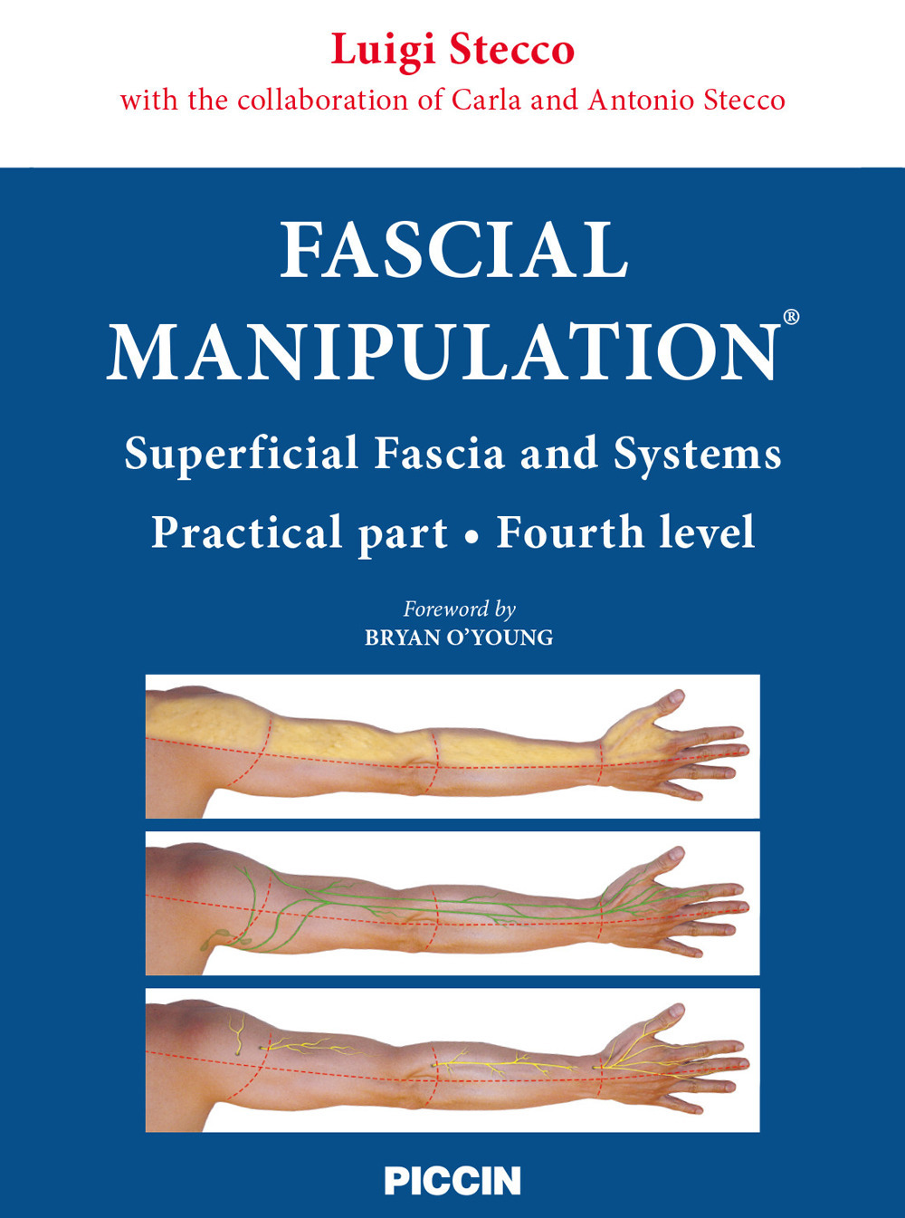 Fascial manipulation. Superficial fascia and systems. Practical part-fourth level