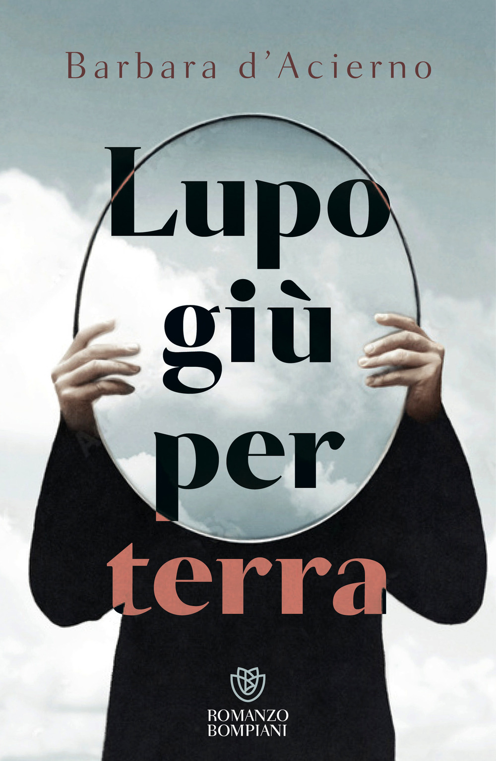 Lupo giù per terra
