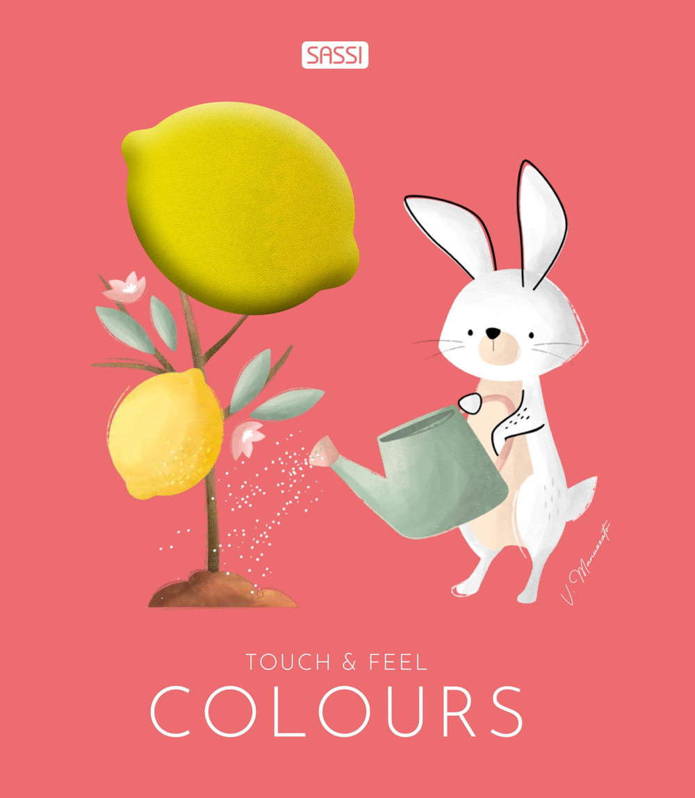 Colours. Touch & feel. Ediz. illustrata