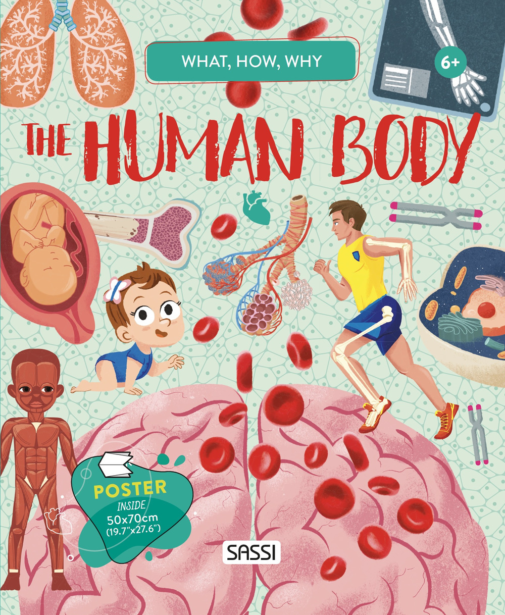 The human body. What, how, why. Con Poster