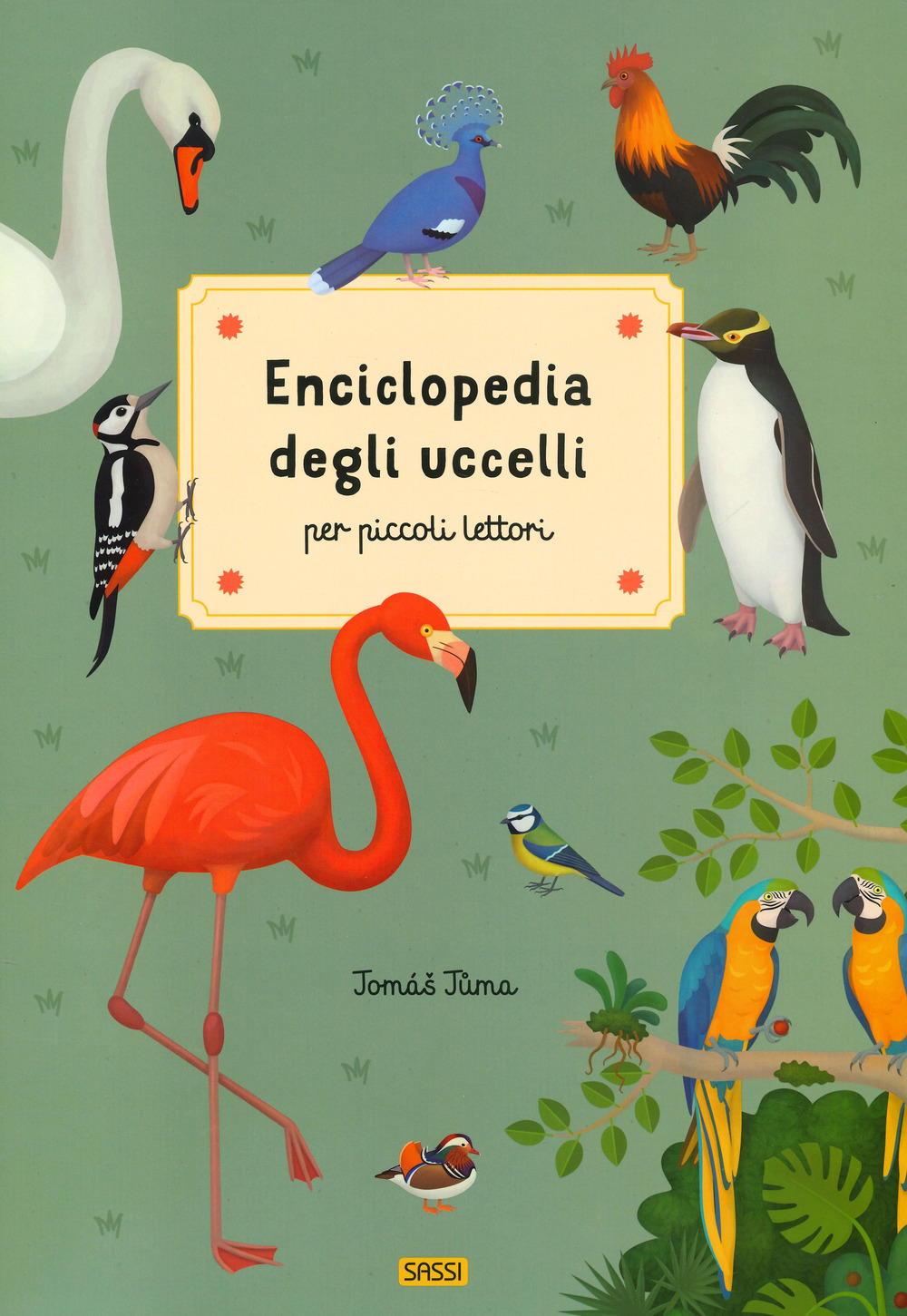 Enciclopedia degli uccelli per piccoli lettori. Nuova ediz.