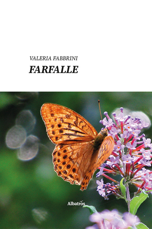 Farfalle - Valeria Fabbrini - Libro - Gruppo Albatros Il Filo