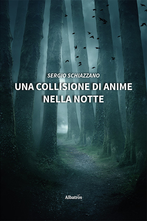 Una collisione di anime nella notte - Sergio Schiazzano - Libro - Gruppo Albatros Il Filo