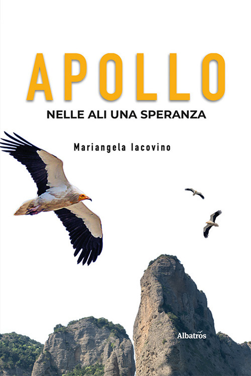 Apollo. Nelle ali una speranza - Mariangela Iacovino - Libro - Gruppo Albatros Il Filo