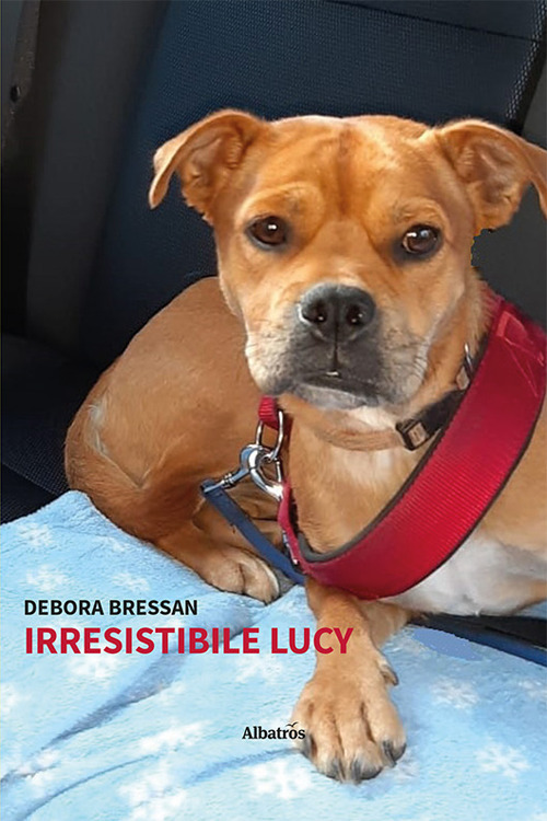 Irresistibile Lucy - Debora Bressan - Libro - Gruppo Albatros Il Filo