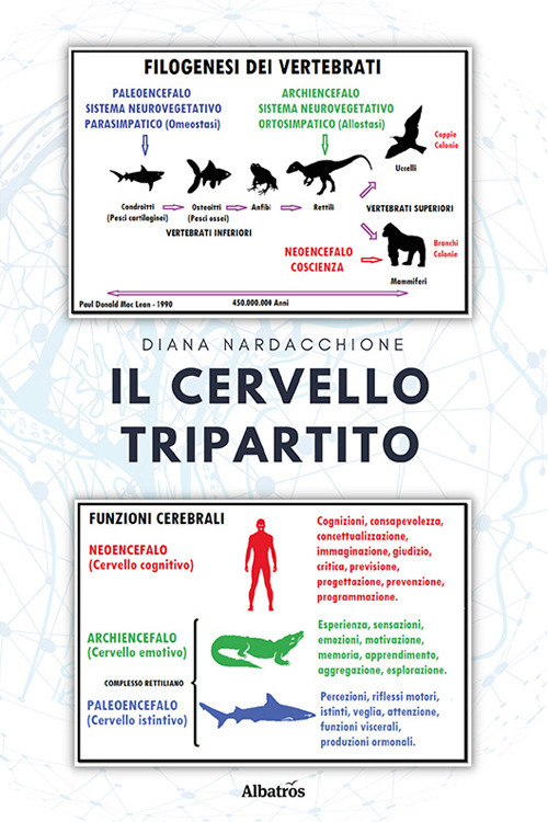 Il cervello tripartito