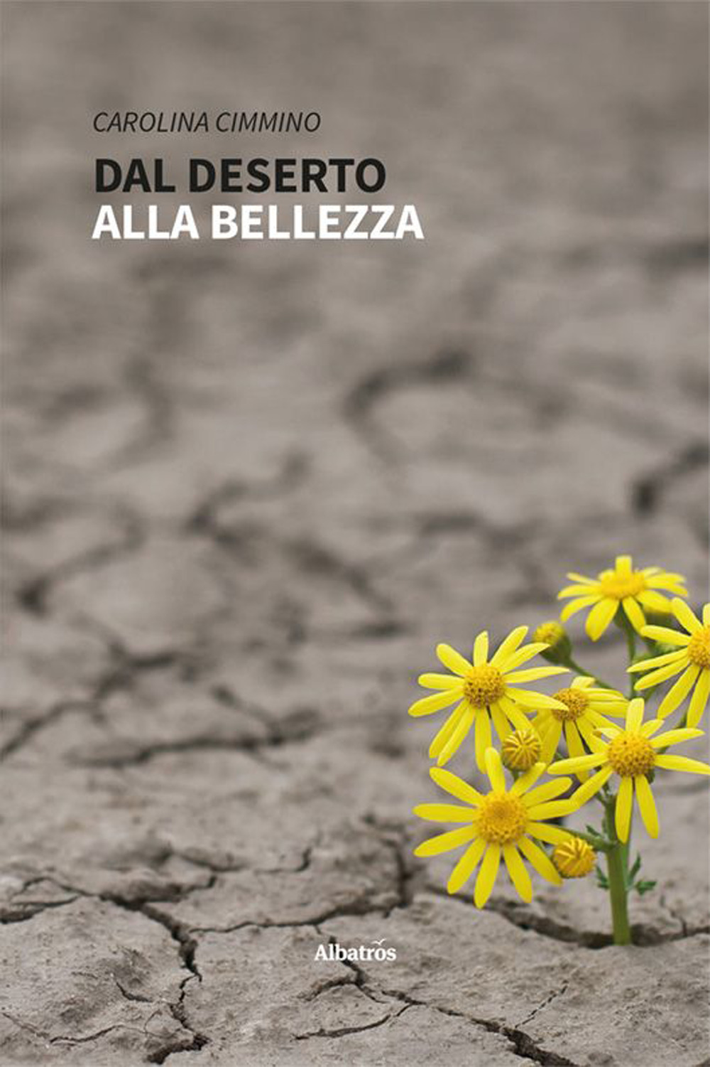Dal deserto alla bellezza - Carolina Cimmino - Libro - Gruppo Albatros Il Filo