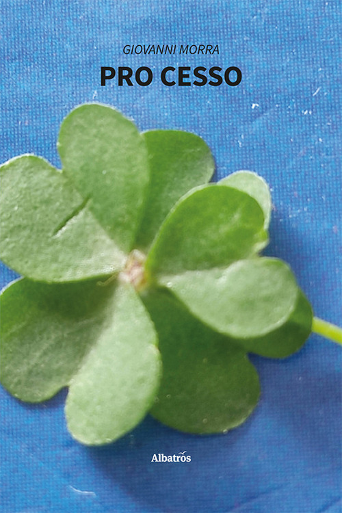 Pro cesso - Giovanni Morra - Libro - Gruppo Albatros Il Filo