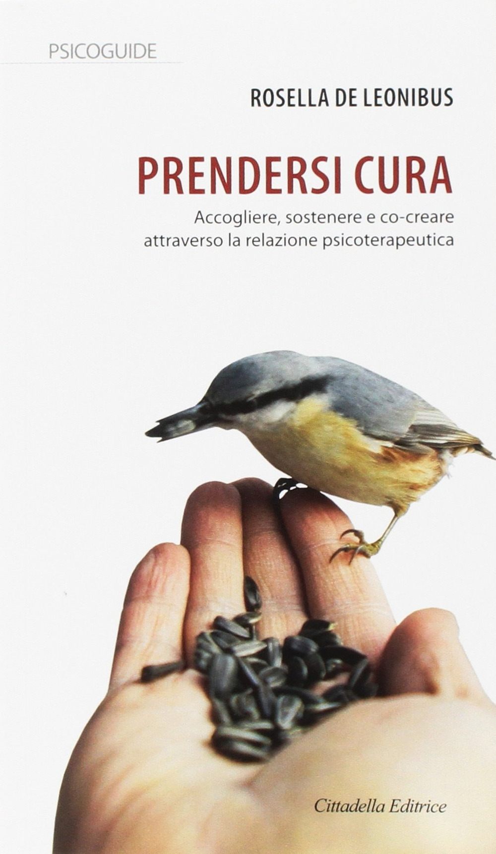 Prendersi cura. Accogliere, sostenere e co-creare attraverso la relazione psicoterapeutica