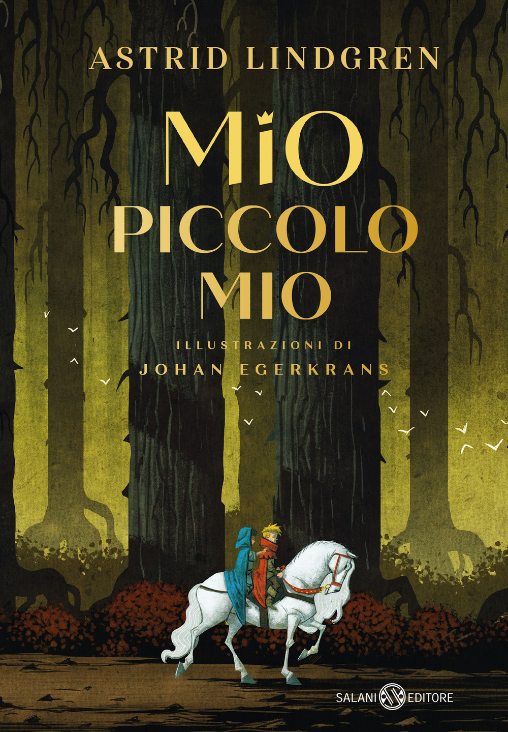 Mio piccolo Mio. Ediz. a colori